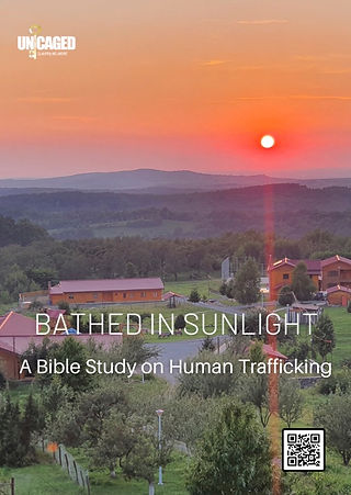 Bathed in Sunlight 2023 Cover.jpg