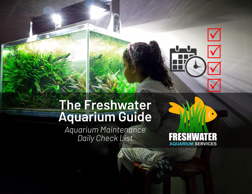 Beginners Guide Fishkeeping Help Freshwater Aquarium Services