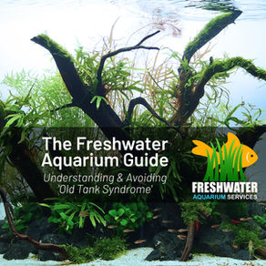 Understanding and Avoiding ’Old Tank Syndrome’