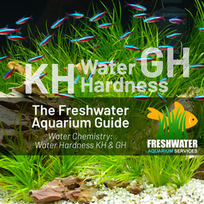 Water Chemistry: Hardness KH & GH