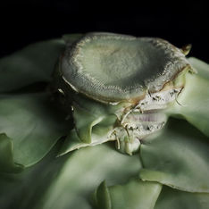 Food & Drink Photography