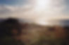 f6a9082b-b2ef-4d22-b1c3-e13e062d6ab5_edited.jpg