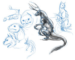 Creature Studies