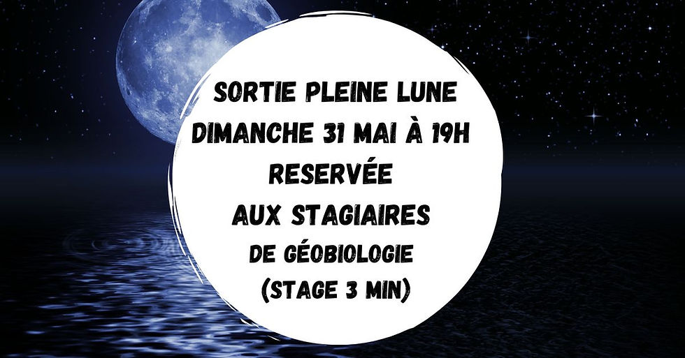 Sortie pleine lune avec Moarenon (réservée aux stagiaires ayant effectué le stage 3 min)