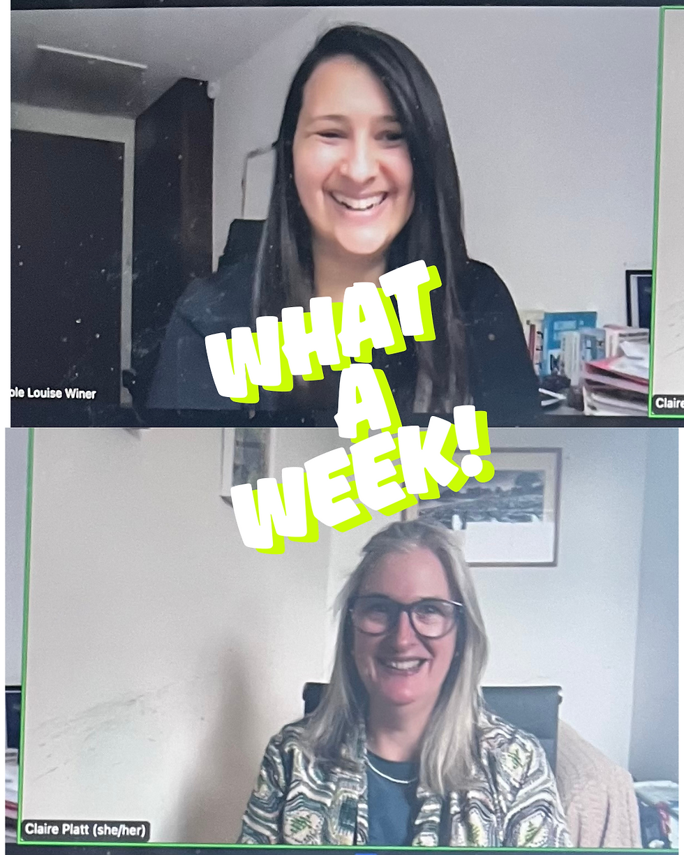 A photo of a zoom call between Claire Platt and Nicole Winer
