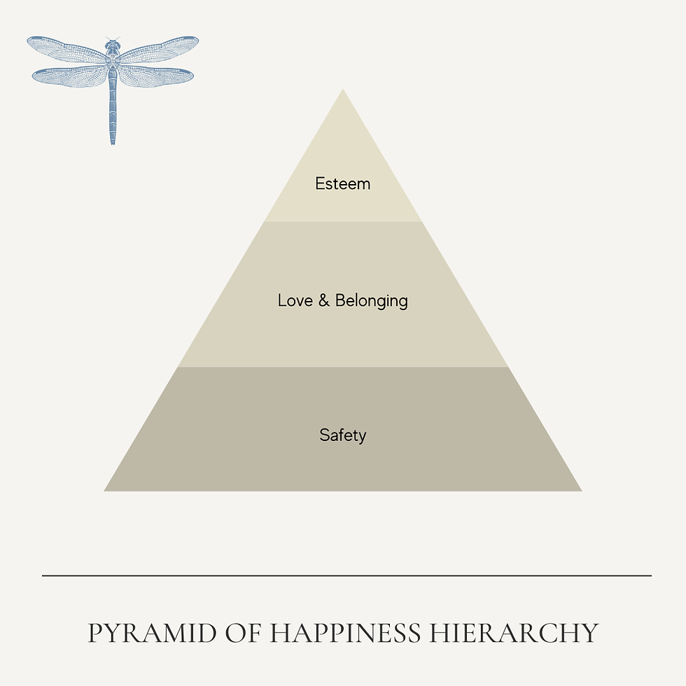 heirarchy of happiness - triangle showing importance of belonging