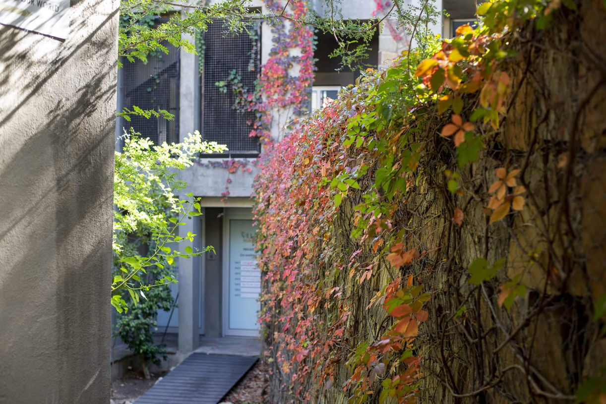 The Village Windhoek.jpg