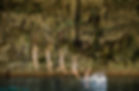 cenote maya3