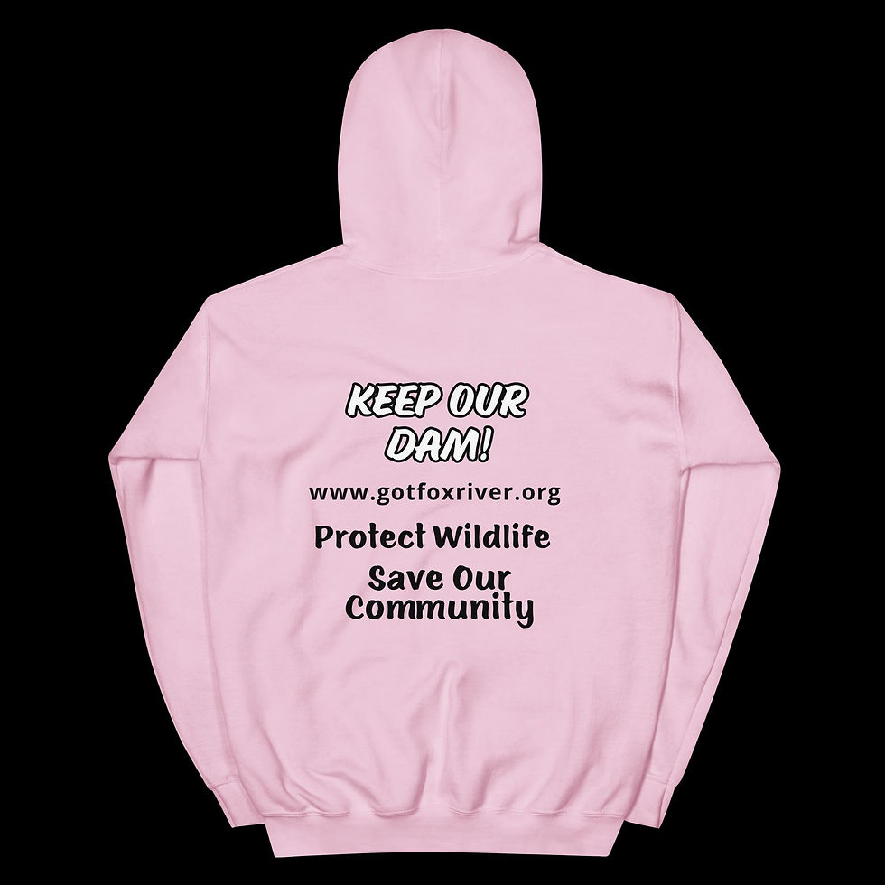Thumbnail: Guardians of the Fox River Hoodie