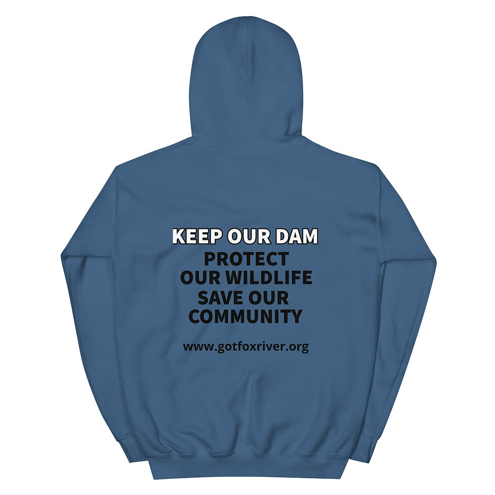 Thumbnail: Guardians of the Fox River Hoodie