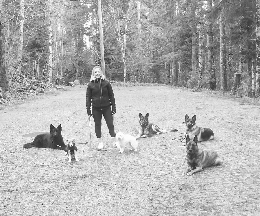 Screenshot_20250124_133912_WhatsApp (002).jpg