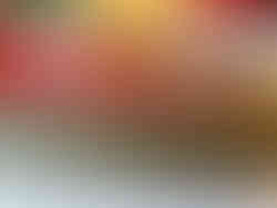 Materials used