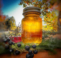 Honey Mason Jar 3oz