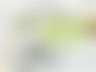 Rich Delicious Matcha