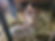 368672656_793495449237764_2197562990187118649_n.jpg