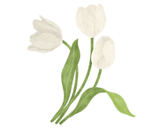 7.png