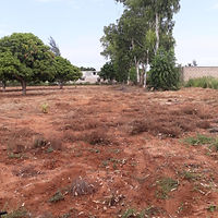 Vivendas