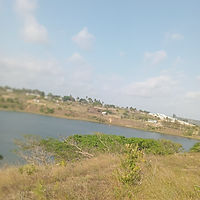 Vivendas