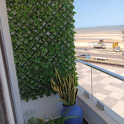 Apartamentos em Mocambique