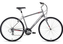 Perfect for cruising the Pinellas Trail !