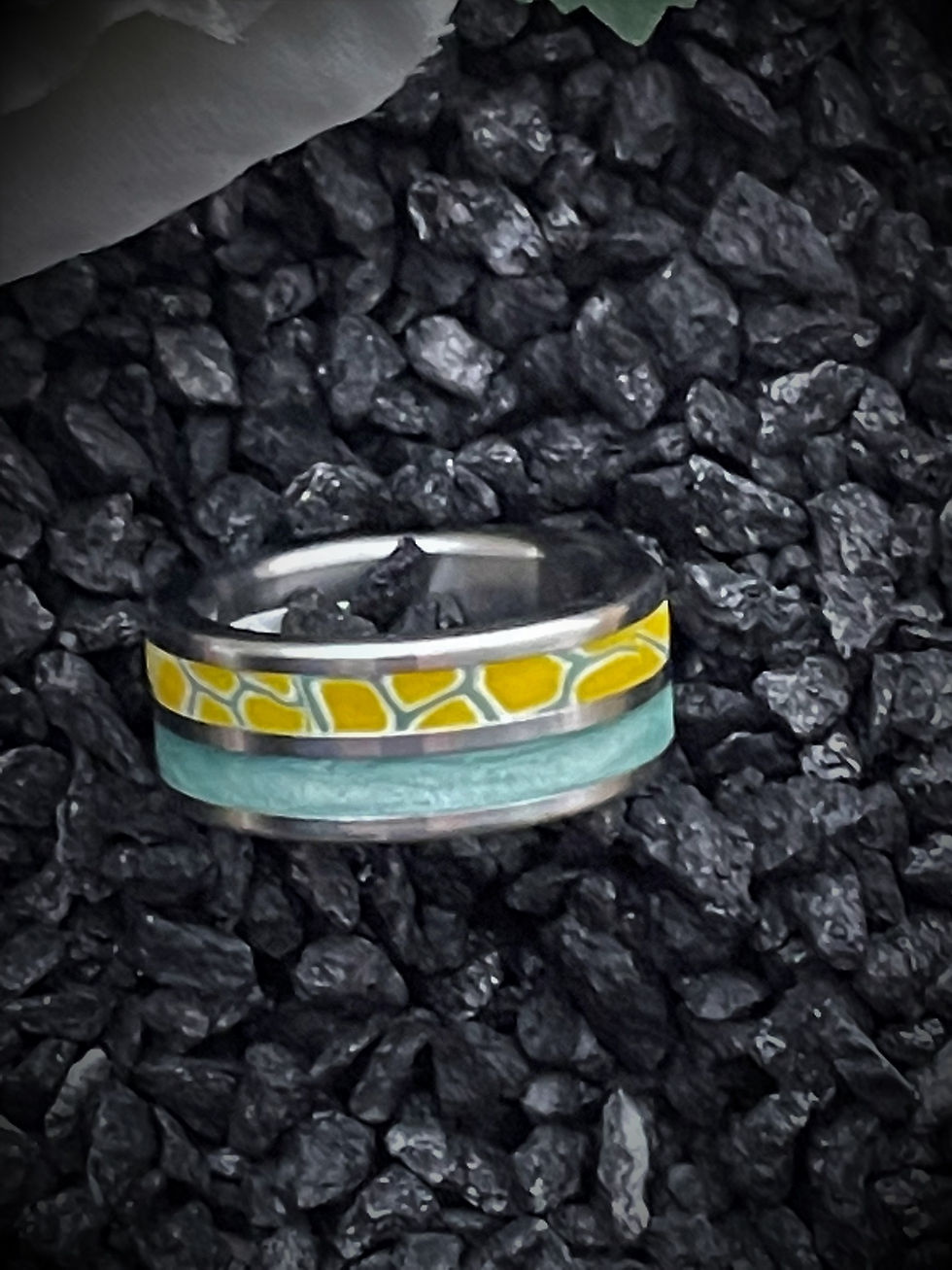 Miniaturbild: Ring unterteilt
