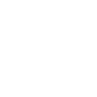 Vector (4).png