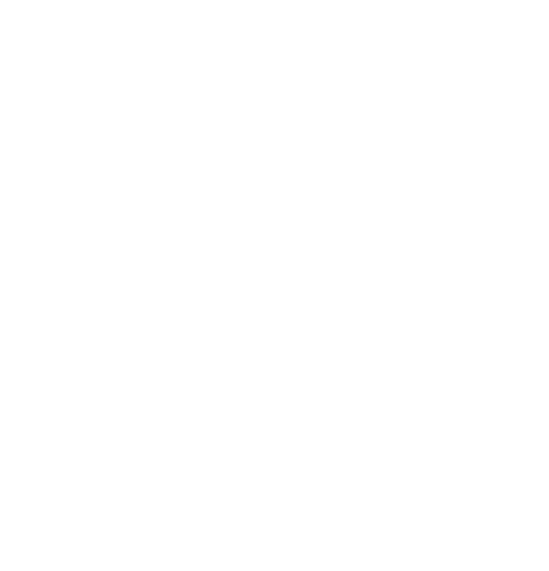 whats app icon