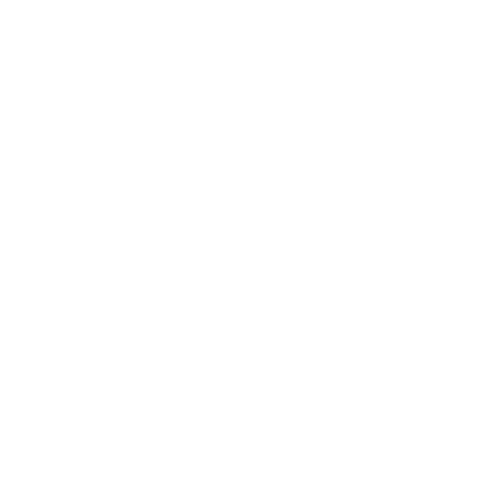 RC - Instagram Icon
