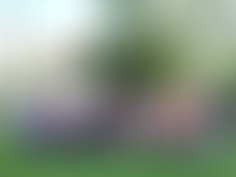 II Seminário de Evangelização das Juventudes foi realizado em Santa Maria