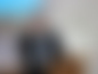 61ª AG CNBB: Dom Leomar explica a organização do Instrumento de Trabalho do Tema Central