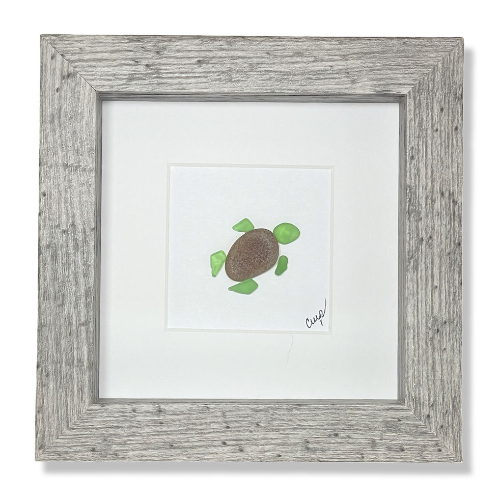 Turtle