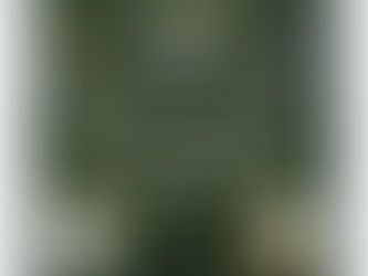 Judaism and the Environment: Let's Transform Jerusalem into a (Sustainable) Light unto the Nations