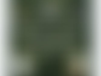 Judaism and the Environment: Let's Transform Jerusalem into a (Sustainable) Light unto the Nations