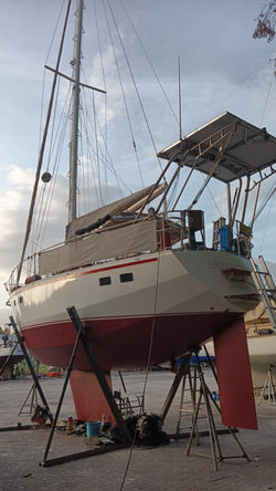 WhatsApp Image 2026-03-26 at 06.01.57