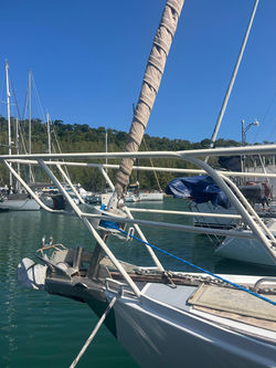 WhatsApp Image 2026-03-29 at 10.57.24