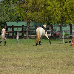 DSC_0669.JPG