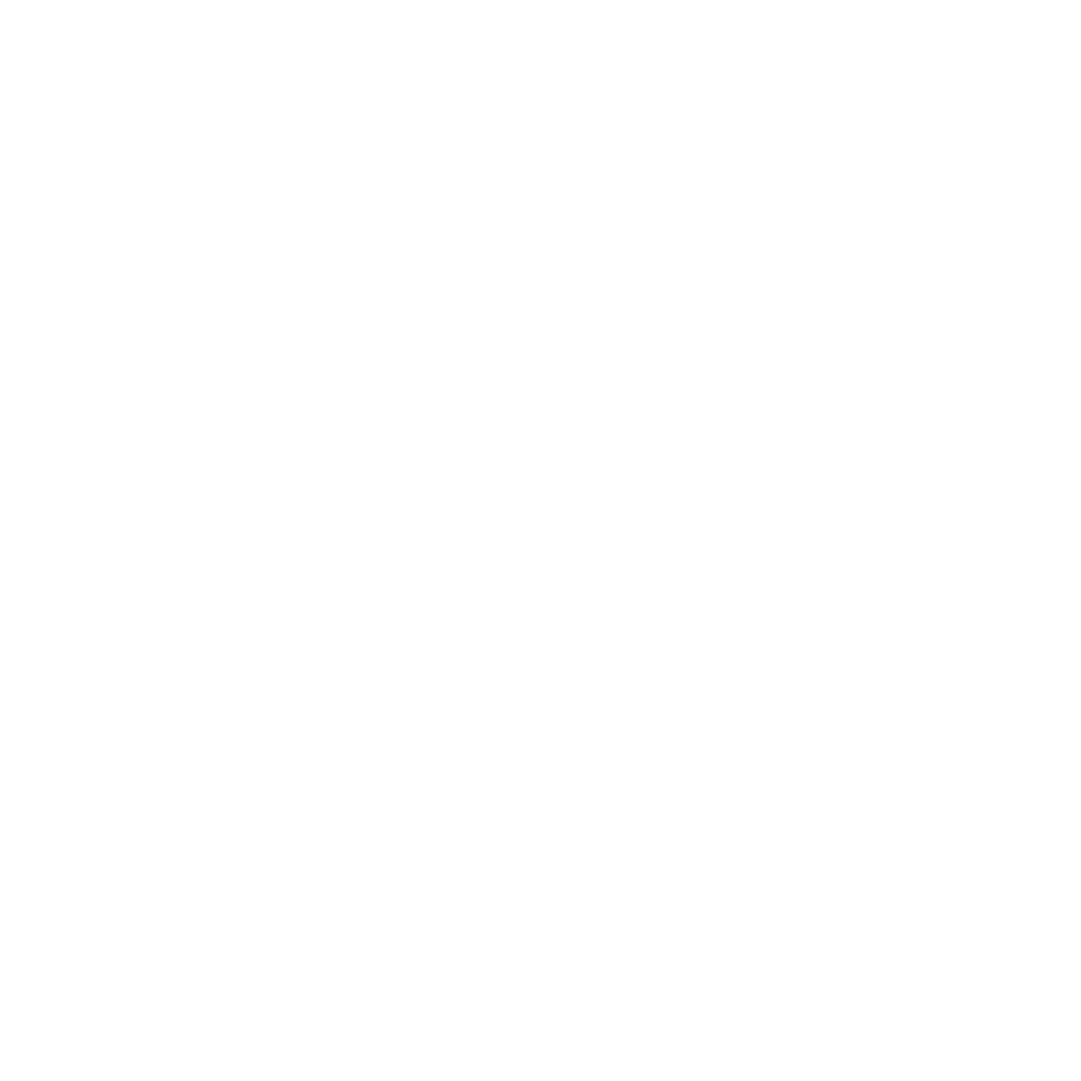 VM New Logo 2024 copy 5.png