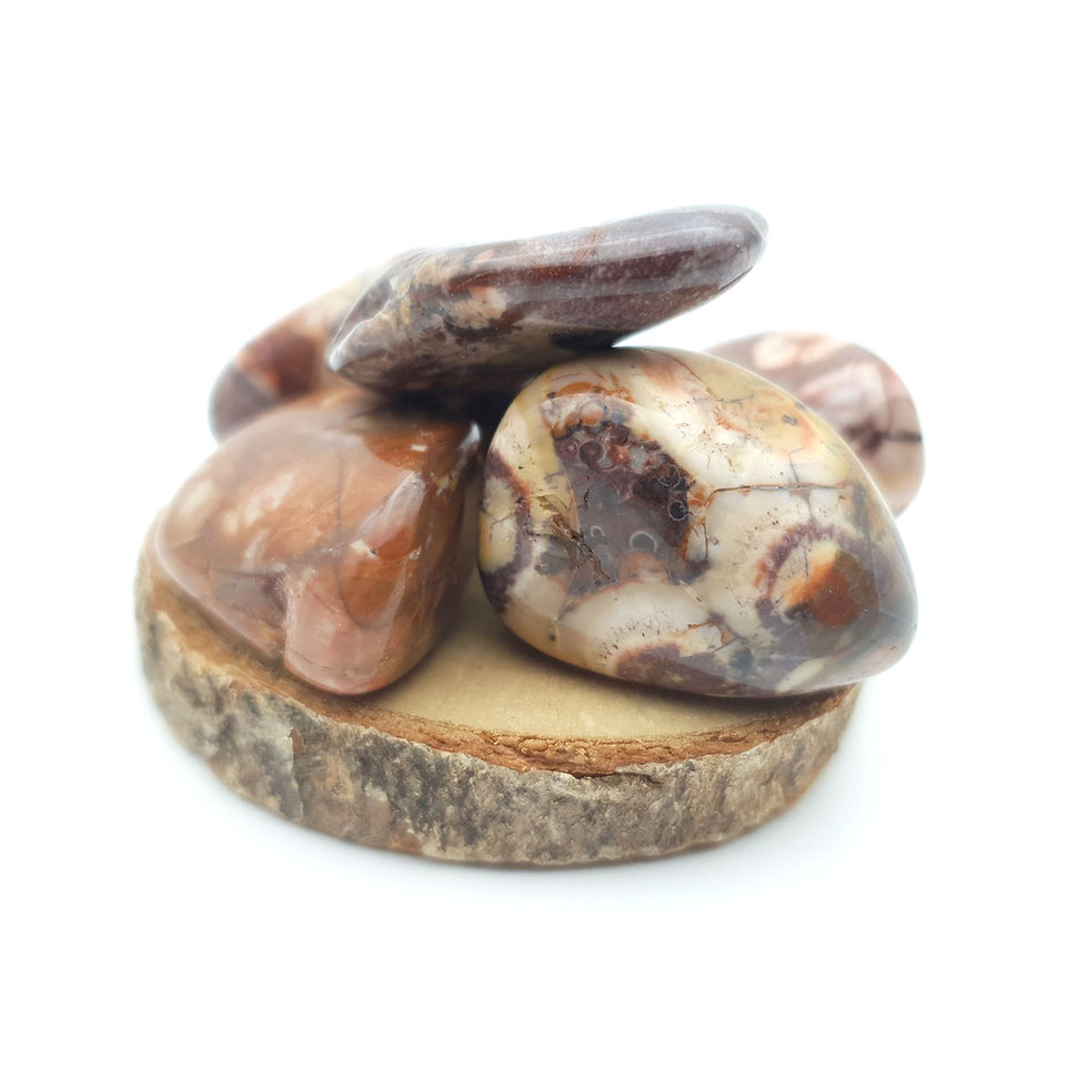 Pierre roulée en jaspe bird's eye, posée sur un support en bois rustique vue de dos