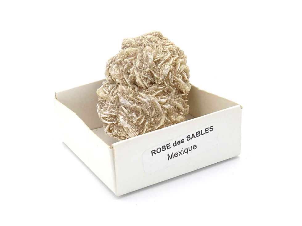 vue de face d'une pierre rose des sables du Mexique brute dans sa boîte