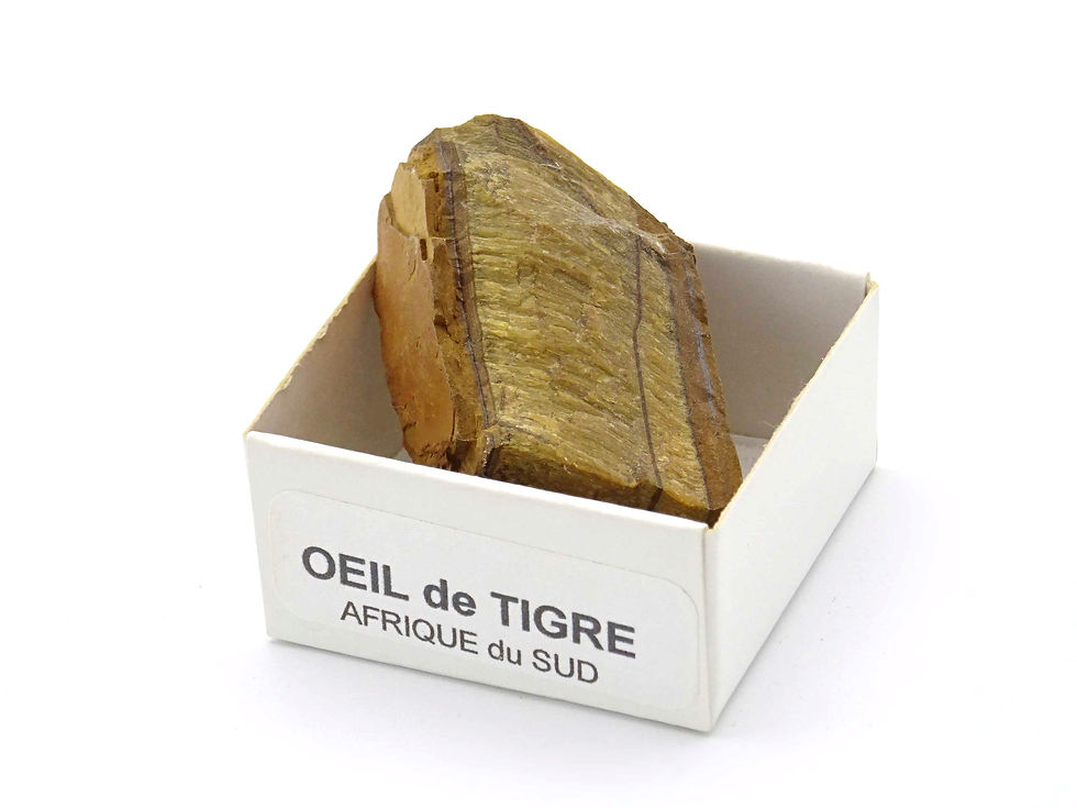 vue de face d'une pierre brut d'oeil du tigre avec sa boite