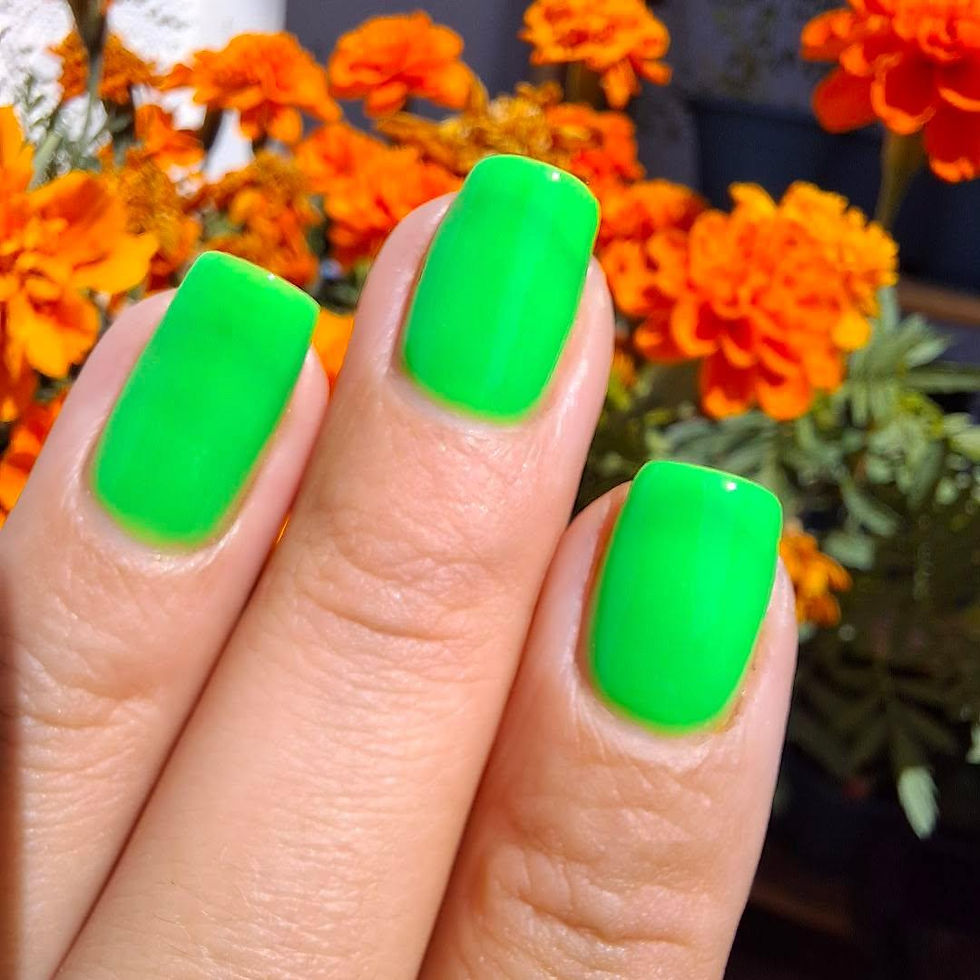 Thumbnail: Festival Fern
