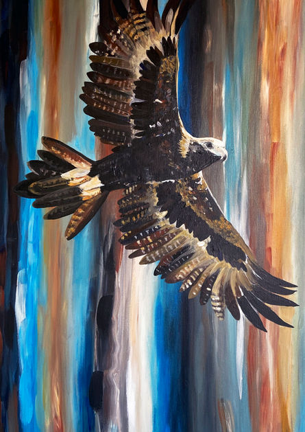Blur of Aquila (Wedgetail).jpg