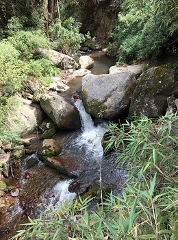 Captura de pantalla 2019-12-26 a la(s) 1