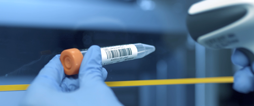 Hasta örneğinin test için laboratuvar kabulünün yapılması