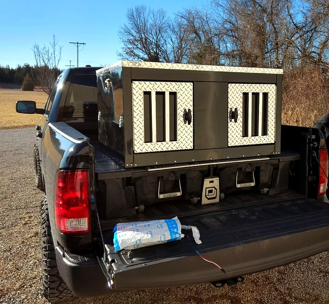 Custom DogBox