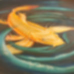 Floor Koi