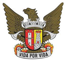 Bombeiros Voluntários PVL