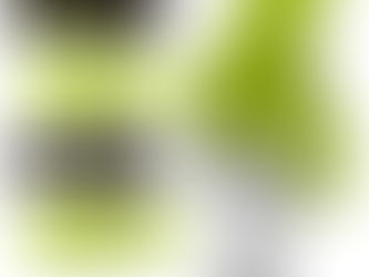 Orientação Escolar e Profissional