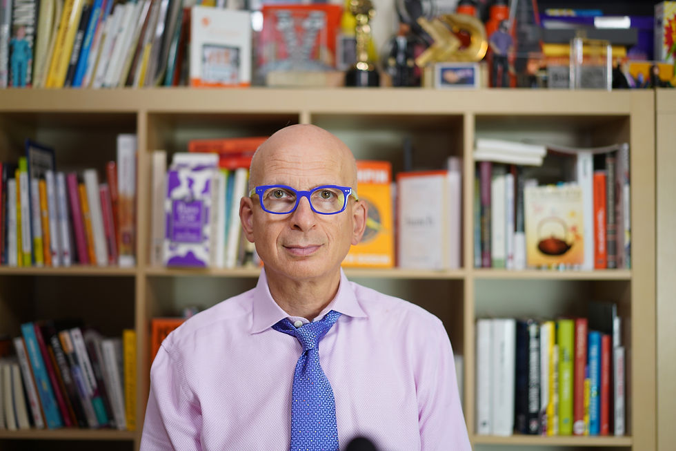 seth godin portrait 2019 d.jpg