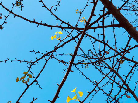 Am I Growing or Staying the Same?: Embracing the Incremental Nature of Change